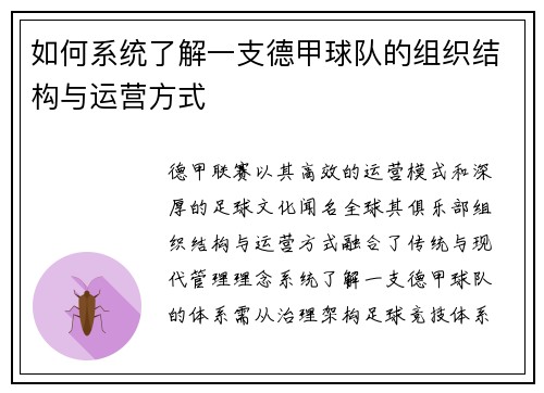 如何系统了解一支德甲球队的组织结构与运营方式